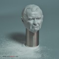 Kaczynski - Solniczka ŁUPIEŻCA POLSKI 1.jpg