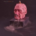 Macierewicz - Kadzielnica_dymiaca-Roz 4.jpg