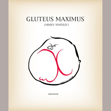 grafika Gluteus Maximus 