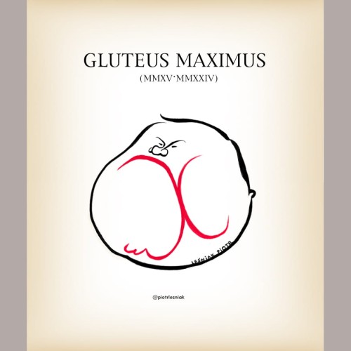 Gluteus Maximus-kwadrat1.jpg