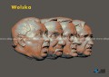 Wolska.jpg