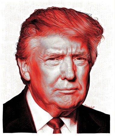  TRUMP - portr. na konw. wyborcza, druk pigm., Giclée